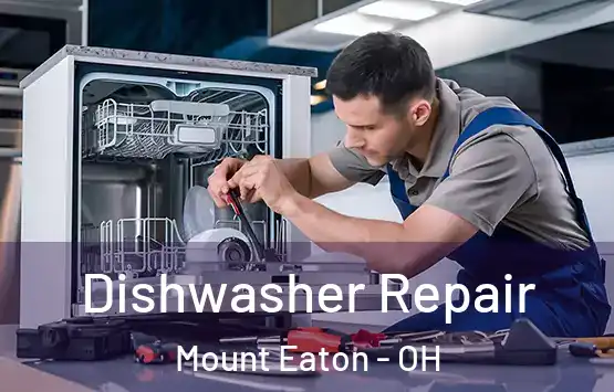  Dishwasher Repair Mount Eaton - OH