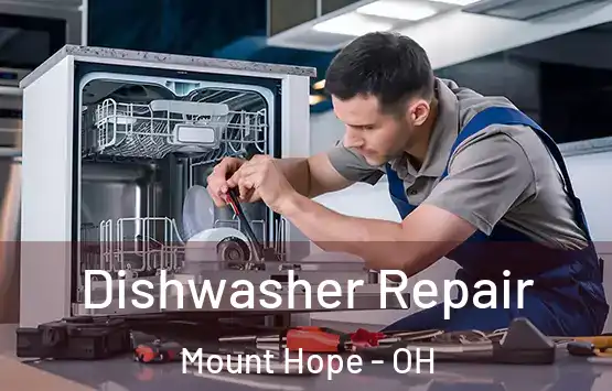  Dishwasher Repair Mount Hope - OH