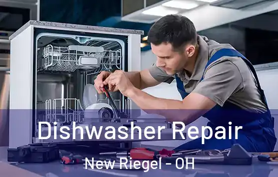 Dishwasher Repair New Riegel - OH