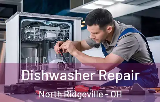  Dishwasher Repair North Ridgeville - OH