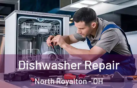  Dishwasher Repair North Royalton - OH