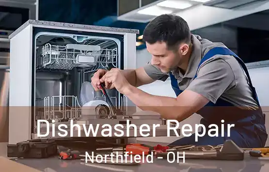  Dishwasher Repair Northfield - OH