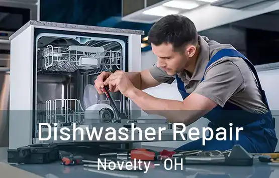  Dishwasher Repair Novelty - OH
