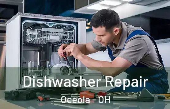  Dishwasher Repair Oceola - OH