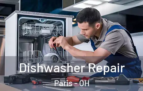  Dishwasher Repair Paris - OH
