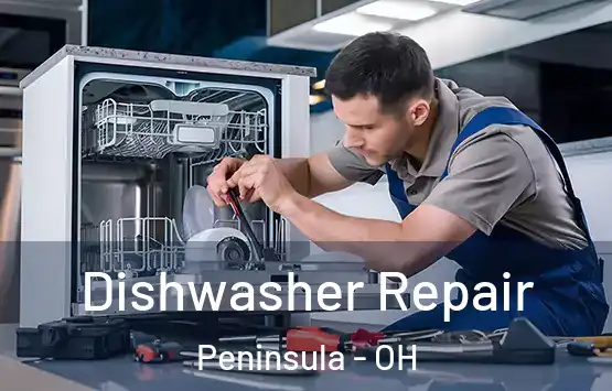  Dishwasher Repair Peninsula - OH