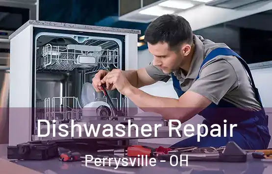  Dishwasher Repair Perrysville - OH