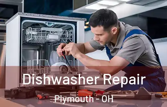  Dishwasher Repair Plymouth - OH