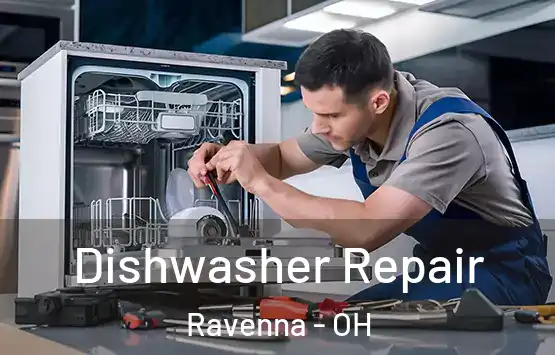 Dishwasher Repair Ravenna - OH