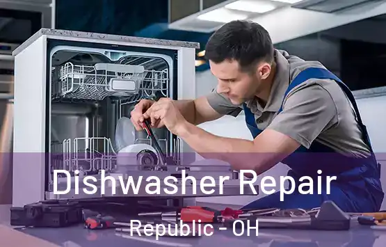  Dishwasher Repair Republic - OH