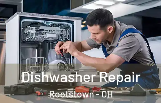  Dishwasher Repair Rootstown - OH