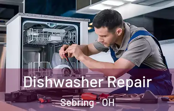  Dishwasher Repair Sebring - OH