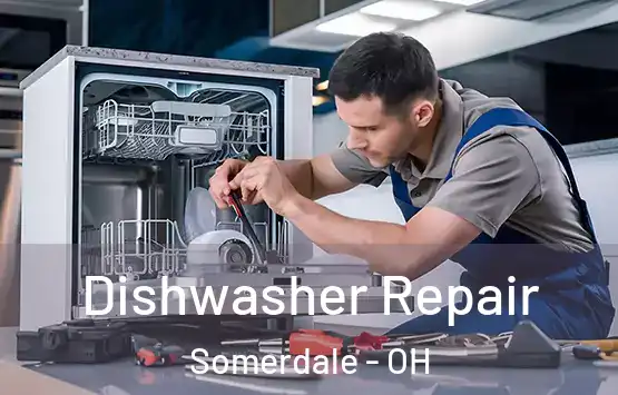  Dishwasher Repair Somerdale - OH