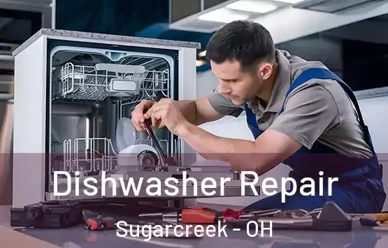  Dishwasher Repair Sugarcreek - OH