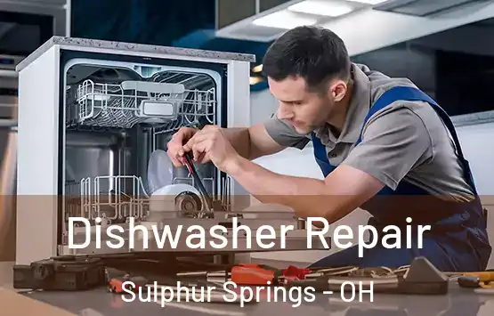  Dishwasher Repair Sulphur Springs - OH