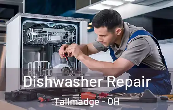  Dishwasher Repair Tallmadge - OH