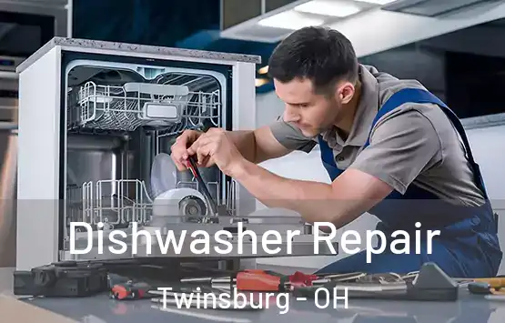  Dishwasher Repair Twinsburg - OH