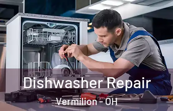  Dishwasher Repair Vermilion - OH