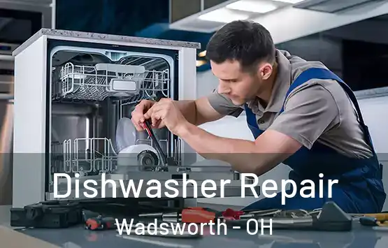  Dishwasher Repair Wadsworth - OH