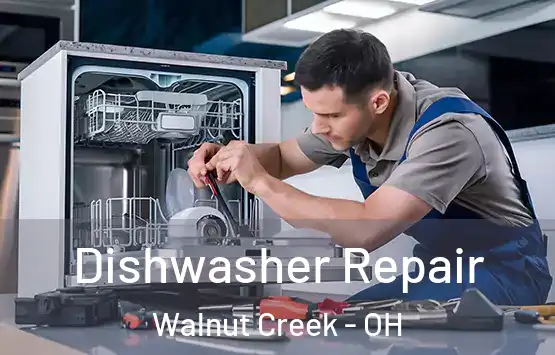  Dishwasher Repair Walnut Creek - OH