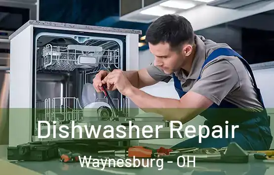  Dishwasher Repair Waynesburg - OH