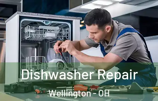  Dishwasher Repair Wellington - OH