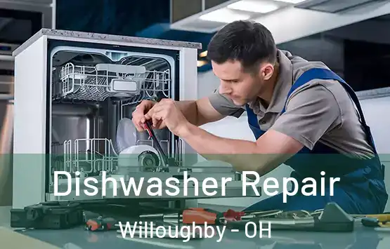  Dishwasher Repair Willoughby - OH