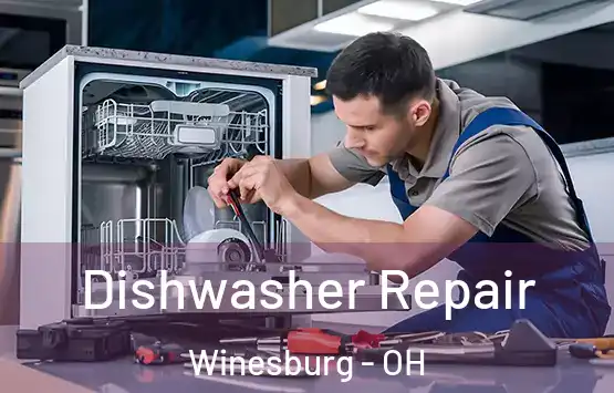  Dishwasher Repair Winesburg - OH