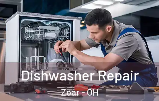  Dishwasher Repair Zoar - OH