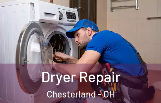  Dryer Repair Chesterland - OH