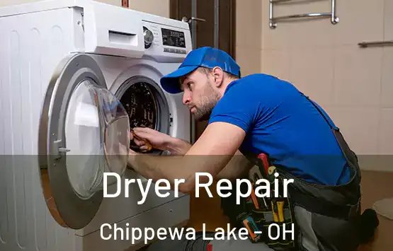  Dryer Repair Chippewa Lake - OH