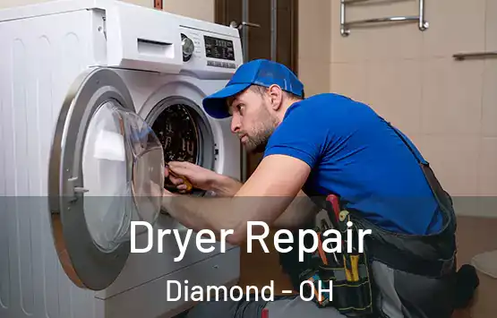  Dryer Repair Diamond - OH