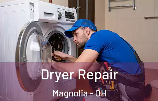  Dryer Repair Magnolia - OH