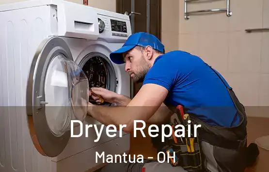 Dryer Repair Mantua - OH