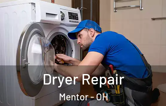  Dryer Repair Mentor - OH