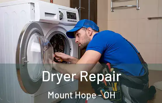  Dryer Repair Mount Hope - OH