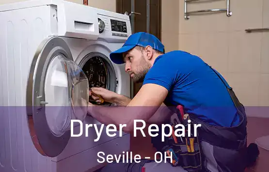  Dryer Repair Seville - OH