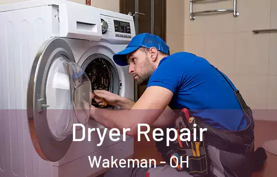  Dryer Repair Wakeman - OH