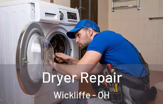  Dryer Repair Wickliffe - OH