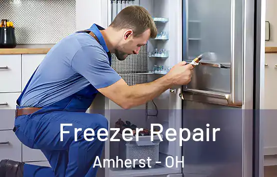  Freezer Repair Amherst - OH