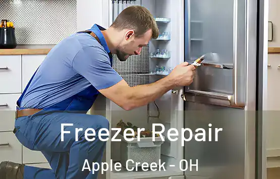  Freezer Repair Apple Creek - OH