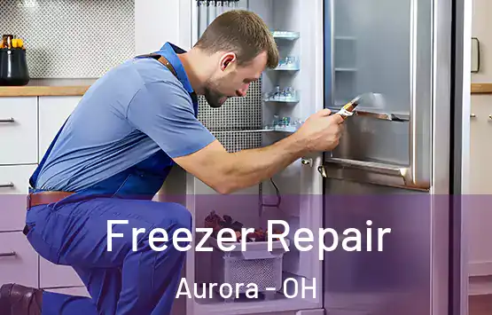  Freezer Repair Aurora - OH
