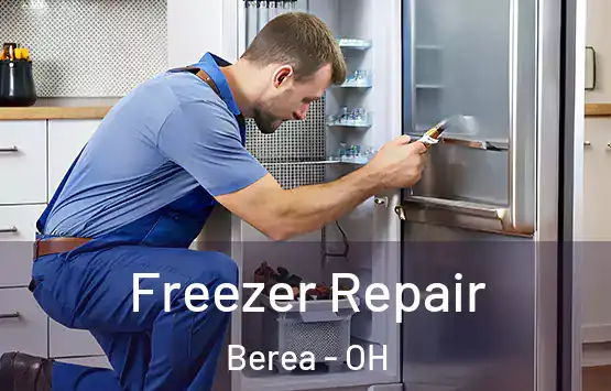  Freezer Repair Berea - OH