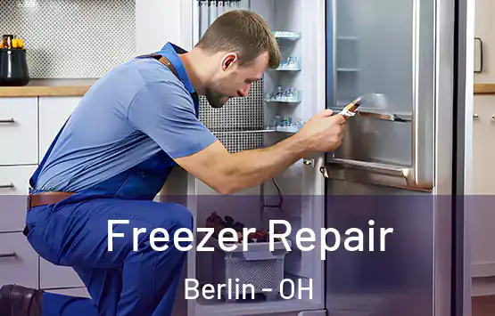  Freezer Repair Berlin - OH