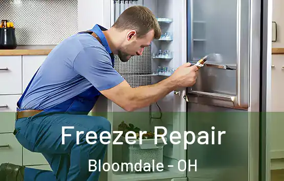  Freezer Repair Bloomdale - OH