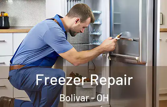  Freezer Repair Bolivar - OH