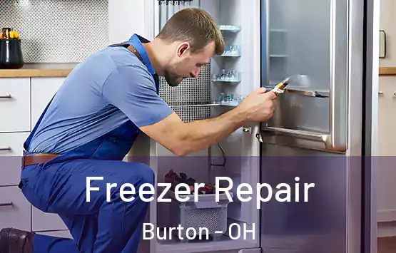  Freezer Repair Burton - OH