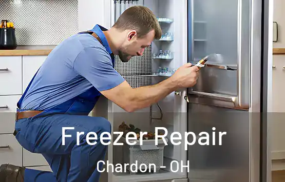  Freezer Repair Chardon - OH