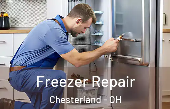  Freezer Repair Chesterland - OH