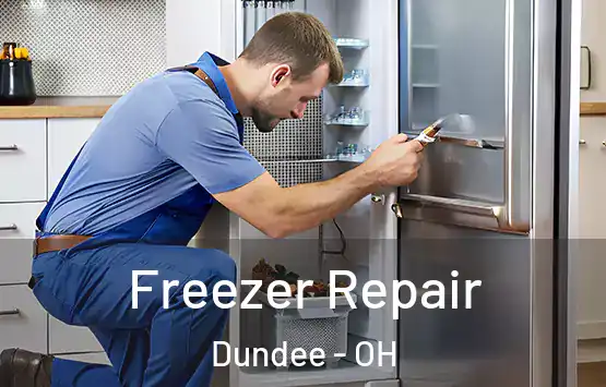  Freezer Repair Dundee - OH
